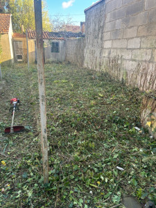 Photo de galerie - Tonte de pelouse - Débroussaillage