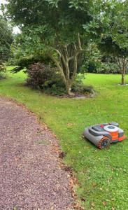 Photo de galerie - Programmation et installation d'un robot tondeuse