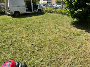 Photo de galerie - Pelouse haute de 40 cm débroussaillage broyage 