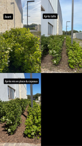 Photo de galerie - À la demande du client, il fallait faire une chemin entre chaque afin de pouvoir passer + mise en place du copeaux 