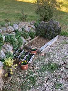 Photo de galerie - Massif fleurs