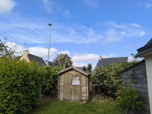 Photo de galerie - Elagage et coupe d'arbres