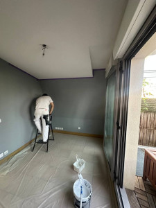 Photo de galerie - Peinture-Tapisserie