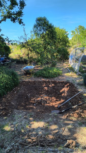 Photo de galerie - Paysagiste - Aménagement du jardin