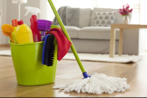 Photo de galerie - Poussières, aspirateur et lavage des sols. 