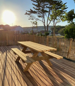 Photo de galerie - Table de Pique Nique 

Essence : Pin traité classe IV
Section : 45x145 
Assemblage : Vis inox 