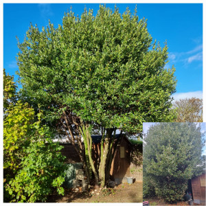 Photo de galerie - Taille de mise en valeur 