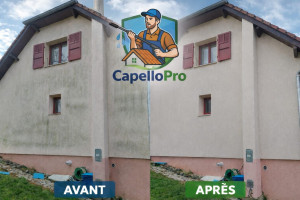 Photo de galerie - Nettoyage façade 
