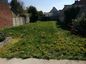 Photo de galerie - Tonte de pelouse - Débroussaillage