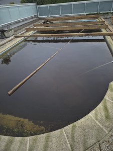 Photo de galerie - Réouverture d'un bassin après 4 ans d'inactivité