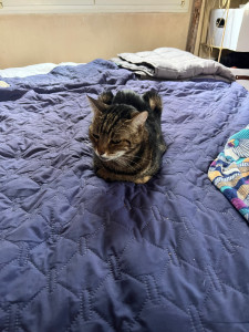 Photo de galerie - Fifi en mode détente