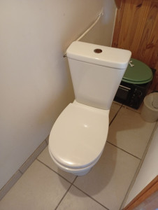 Photo de galerie - Remplacement wc