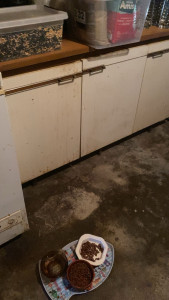 Photo de galerie - Ménage