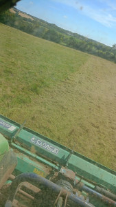 Photo de galerie - Tonte de pelouse , broyage, débroussaillage