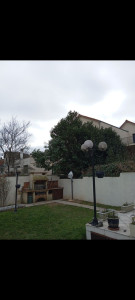 Photo de galerie - Elagage et coupe d'arbres