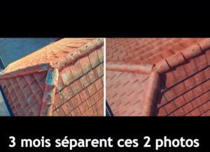 Photo de galerie - Nettoyage toiture 
