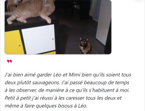 Photo de galerie - Garde animaux