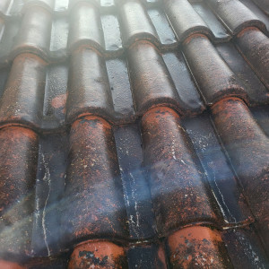 Photo de galerie - Démoussage de toitures 