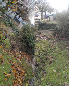 Photo de galerie - Taille de buisson, évacuation des déchets verts 