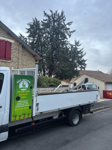 Photo de galerie - Elagage et coupe d'arbres