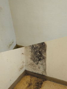 Photo de galerie - Ménage