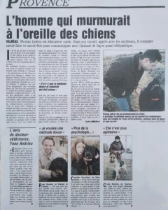 Photo de galerie - Dressage