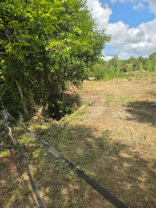 Photo de galerie - Taillage 