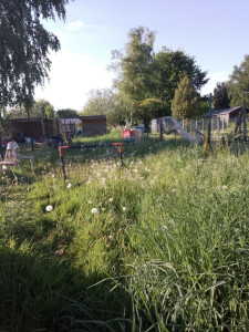 Photo de galerie - Avant tonte 