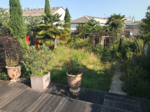 Photo de galerie - Taille de haies et d'arbustes