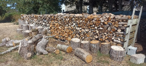 Photo de galerie - Bois de chauffage