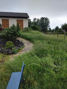 Photo de galerie - Tonte de pelouse - Débroussaillage