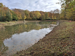 Photo de galerie - Tonte de pelouse - Débroussaillage