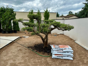 Photo de galerie - Préparation du sol avant engazonnement 