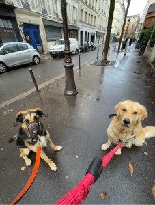 Photo de galerie - Polo and pia