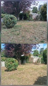 Photo de galerie - Débroussaillage jardin 