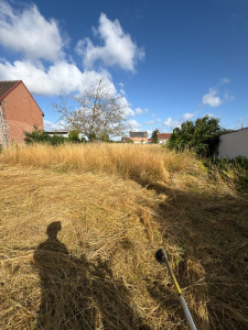 Photo de galerie - 1000m2 à débroussailler avant 