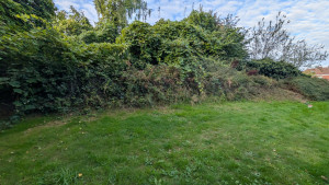 Photo de galerie - Débroussaillage d'une bute avant 