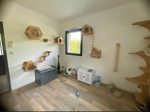 Photo de galerie - Pièce dédiée pour le confort et la sécurité de votre chat à mon domicile 