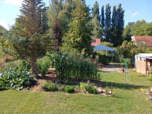 Photo de galerie - Création d'un potager en permaculture, implantation d'un verger et remise à niveau du sol. photo chez le client 6 mois après travaux pour un accompagnement technique dans sa production de légumes domestique. 