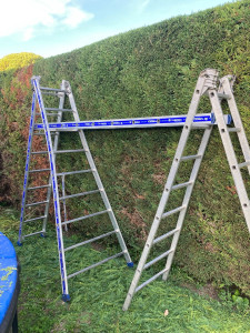 Photo de galerie - Taille complète d’une haie de cyprès et évacuation dans le camion benne