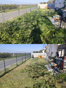 Photo de galerie - Tonte de pelouse - Débroussaillage