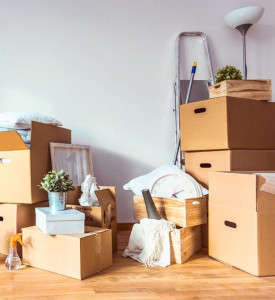 Photo de galerie - Aide a la mise en carton et le transport 