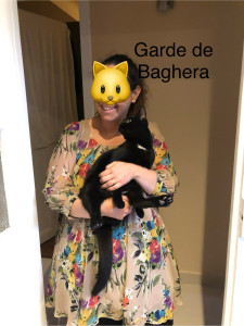 Photo de galerie - Garde de Baghera