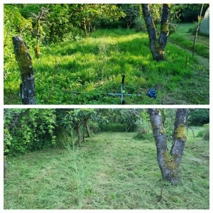 Photo de galerie - Photo avant/après 