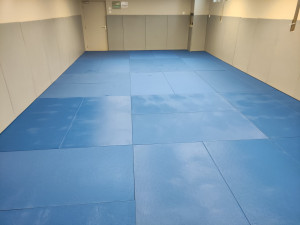 Photo de galerie - Réfection d'une salle de gym dans un collège. (Après)