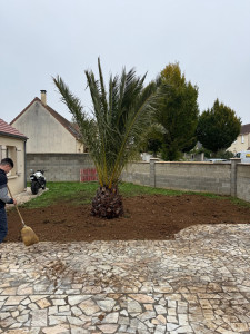 Photo de galerie - Paysagiste - Aménagement du jardin