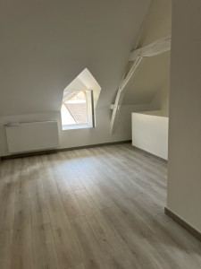 Photo de galerie - Rénovation totale, doublage, peinture, parquet 