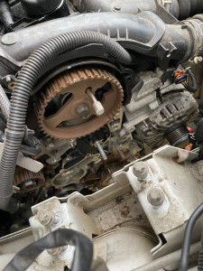 Photo de galerie - Distribution 1,6 hdi