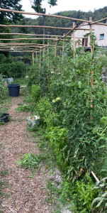Photo de galerie - Paysagiste - Aménagement du jardin