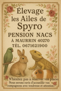 Photo de galerie - Gardes nacs exclusivement 
